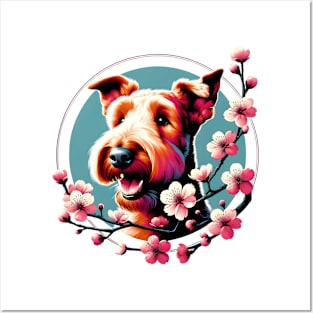 Joyful Irish Terrier Amidst Spring Cherry Blossoms Posters and Art